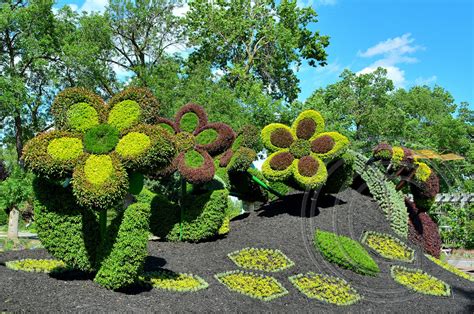 Abstract strategy game date at Montreal's Botanical Gardens .